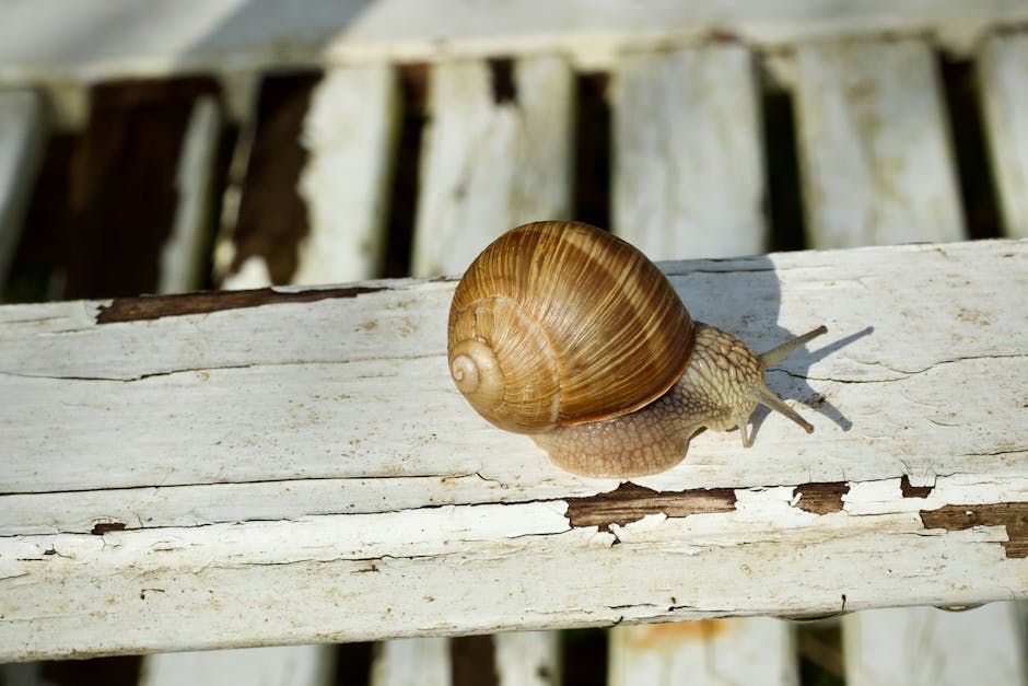 Snail Mucin: Real Mechanism, Inflated Marketing
